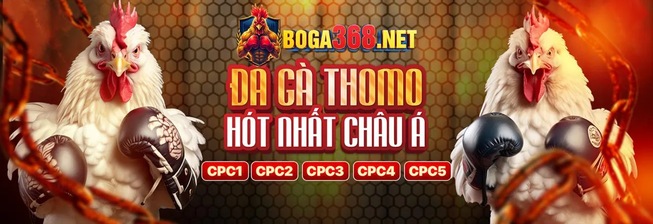 Mẹo đăng ký c33win an toàn