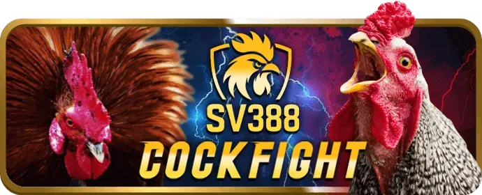 Phân tích kèo và chiến lược cá cược thể thao C33WIN